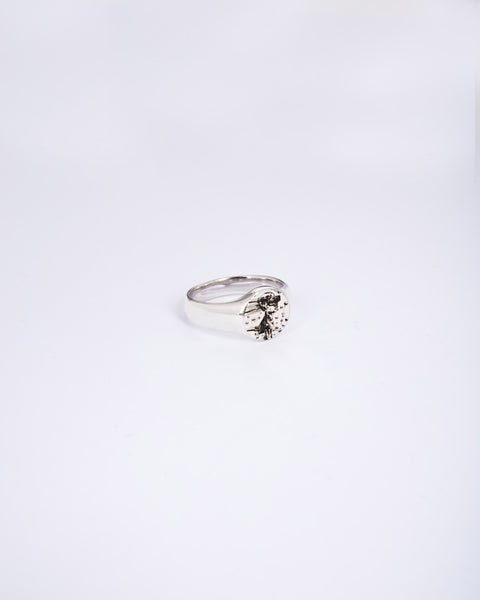 Cyberpunk - Ring